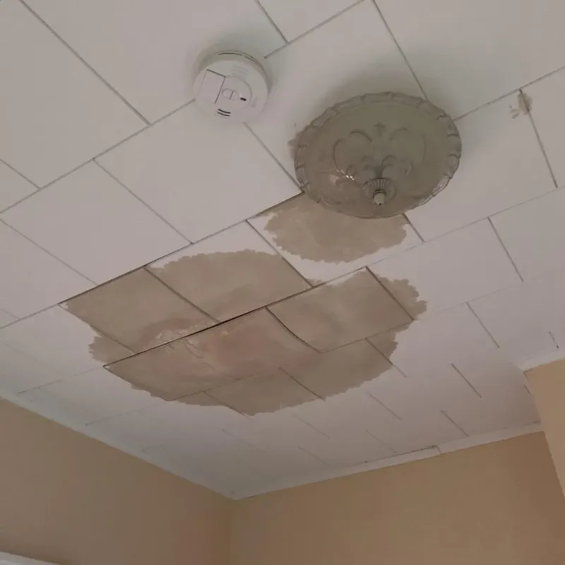 Ceiling Water Damage Repair in Bally, PA