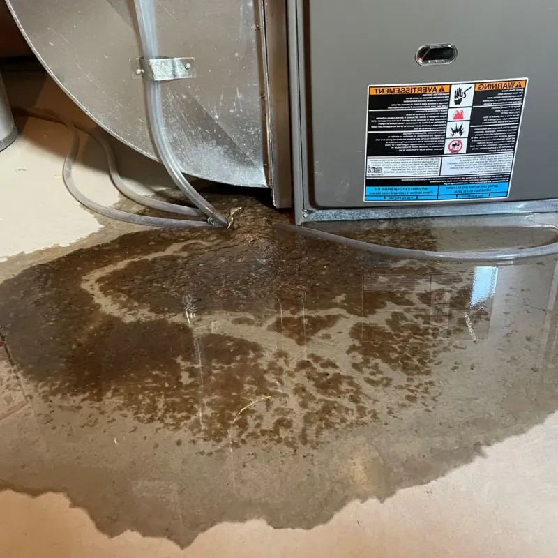 Pipe Burst and Leak Restoration in Bally, PA