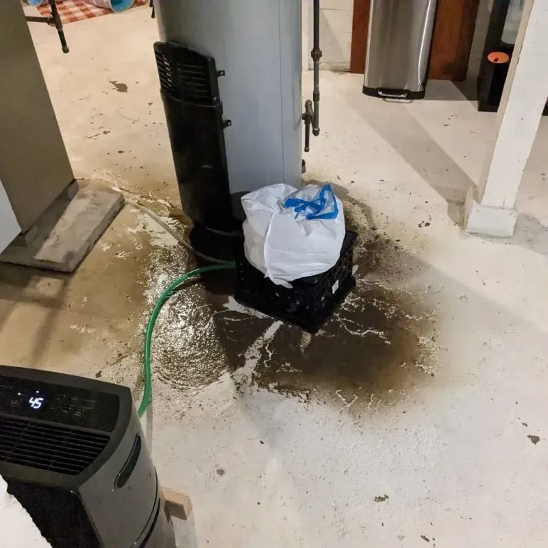 Sewage Backup Cleanup Service in Bally, PA
